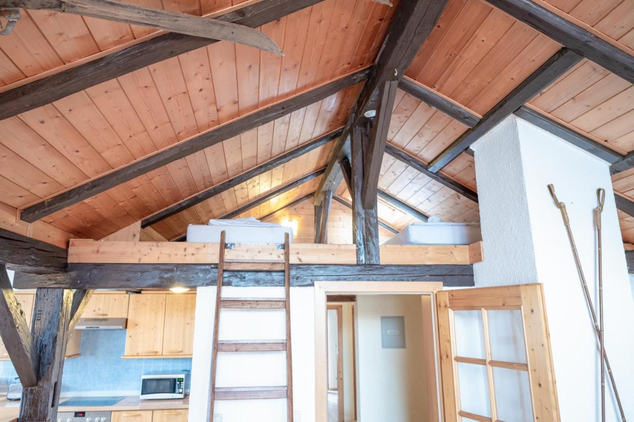 Lake View Lodges By We Rent, Summercard Included ツェル アム ゼー エクステリア 写真